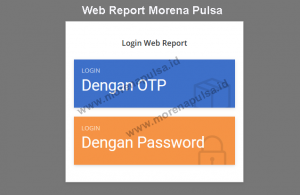 web report morena pulsa